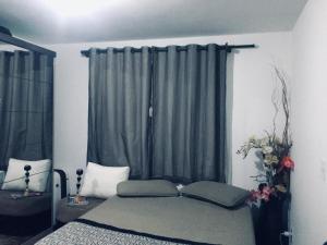 a bedroom with a bed and a window with curtains at Hospedagem para Oktoberfest in Blumenau