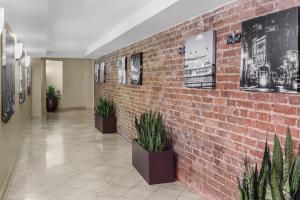 a brick wall with potted plants in a hallway at Astor Crowne Plaza, Corner of Canal and Bourbon in New Orleans