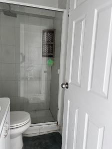 e bagno con doccia, servizi igienici e porta in vetro. di Bel appartement sur l'île de Margarita, avec vue sur la mer a Pampatar