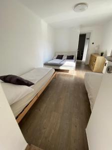 ブダペストにあるBenjamin Apartmanのウッドフロアのドミトリールーム ベッド2台