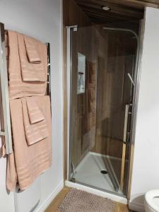 a shower with a glass door in a bathroom at Le Jasmin chalet complet Rivière Kayak Nature in Saint-Paulin