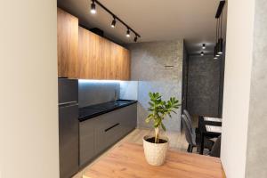 a kitchen with a potted plant in a room at Байди Вишневецького 68 in Cherkasy