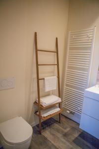 ein Badezimmer mit einem WC und einem Regal mit Handtüchern in der Unterkunft Maison d’Arnaud in Gent