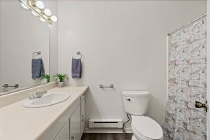 Baño blanco con aseo y lavamanos en In Resort Game Room - The Play House 5BR, en McGaheysville