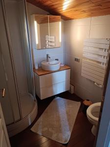 La salle de bains est pourvue d'un lavabo, d'une douche et de toilettes. dans l'établissement MagHouse, à Cestas