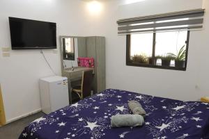 1 dormitorio con 1 cama con manta azul con estrellas en Jerash City View, en Jerash