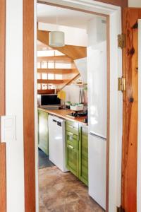 契拉勒的住宿－Chimera Pia Aparts，厨房配有绿色橱柜和白色冰箱