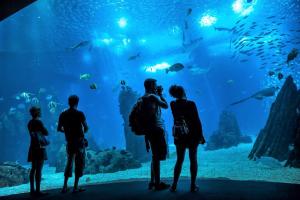 a group of people standing in front of a large aquarium at SJ2D Central Baixa NEW AIR CONDITIONING Spacious and Friendly in Lisbon