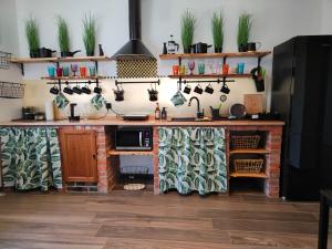 a kitchen with a counter with plants on the wall at Chata Muszyna in Muszyna