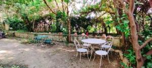 Giardino di Chambres d'hôtes Avignon