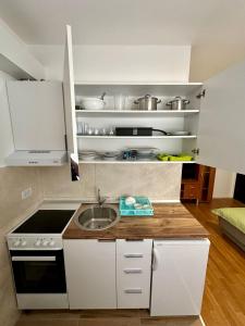 a small kitchen with a sink and a stove at Apartment Stex 2 in Podgorica