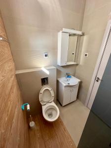 a small bathroom with a toilet and a sink at Apartment Stex 2 in Podgorica
