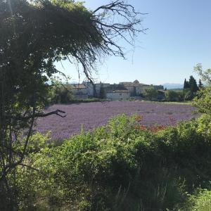 Príroda v okolí apartmánu