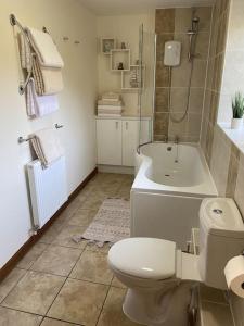 a bathroom with a toilet and a shower and a sink at Bungalow in Pillaton in Saltash