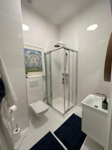 uma casa de banho com um chuveiro, um WC e um lavatório. em Moderný apartmán v centre Bratislavy em Bratislava