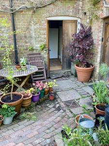a patio with a bunch of potted plants and a bench at The Grannery in Wadhurst