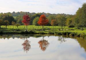 a pond with autumn trees in the background at The Lavendrye in Wadhurst