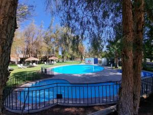 a swimming pool in a park with trees at Cabañas La Huayca - Caja Los Andes in Pica