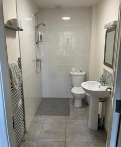 y baño con aseo y lavamanos. en Dundonagh House, Glaslough,, en Monaghan