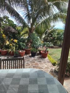 a patio with a table and a bunch of potted plants at Villa baie diamant in Rodrigues Island
