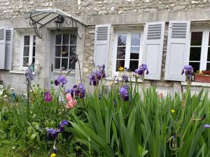 Avenue du Château في Saint-Just: حديقة بها زهور أرجوانية أمام منزل حجري