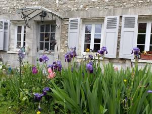 um jardim com flores roxas em frente a uma casa de pedra em Avenue du Château em Saint-Just