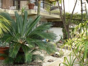 un palmier devant un bâtiment dans l'établissement B&B La Cittadella Univeristaria Policlinico Catania, à Catane