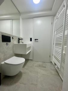 La salle de bains blanche est pourvue de toilettes et d'un lavabo. dans l'établissement Einzimmerwohnung Eschborn Frankfurt Messe, à Eschborn