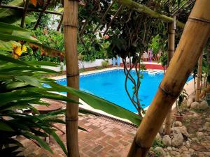 Kolam renang di atau dekat dengan Huitzilin Hostal