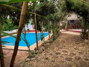 Kolam renang di atau dekat dengan Huitzilin Hostal