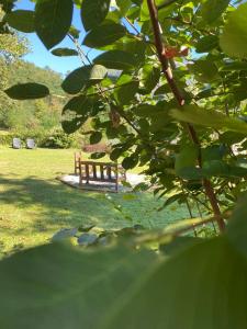 un banco sentado en el césped en un campo en Le Macine, en Magnano