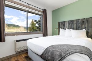 Gallery image of MTN Lodge Ridgway in Ridgway