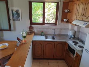 a kitchen with wooden cabinets and a sink and a window at Ostria Maisonettes and Studios in Stoupa