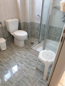 a bathroom with a toilet and a shower at Ostria Maisonettes and Studios in Stoupa