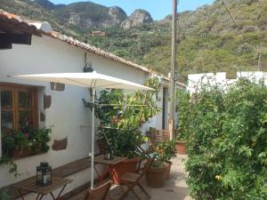 eine Terrasse mit einem Sonnenschirm, Stühlen und Pflanzen in der Unterkunft Casa Rural Chamorga in Santa Cruz de Tenerife