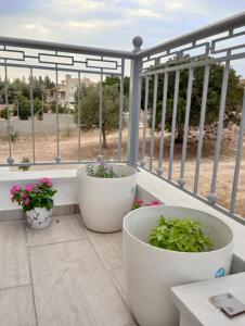 two plants in white pots on a balcony at Coastal Garden Getaway in Metókhi