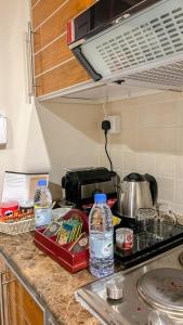 Gallery image of Levant Hotel فندق قصر المشرق in Najran +69 photos