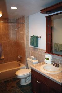 a bathroom with a toilet and a sink and a tub at Timber Creek Chalets- 14 chalet in Estes Park +4 photos