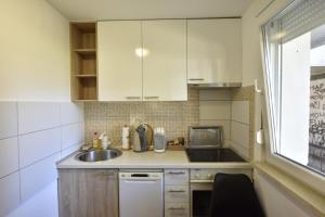 Kuchyň nebo kuchyňský kout v ubytování Apartman Isidora