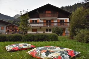 two pillows on the grass in front of a house at Chalet la Dransette in Châtel