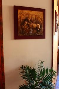 Fotografie z fotogalerie ubytování 2 Kitarat BB v destinaci Vlorë
