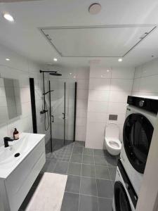 a bathroom with a toilet and a sink and a washing machine at Sentrums-nær leilighet med sjøutsikt in Bergen