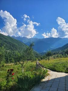 Paesaggio naturale nelle vicinanze dell'affittacamere