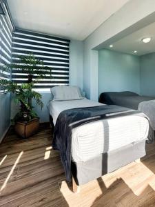 een slaapkamer met 2 bedden en een potplant bij Departamento Beto in Tijuana