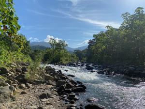 Awake Uvita في أوفيتا: نهر فيه صخور واشجار جانبيه