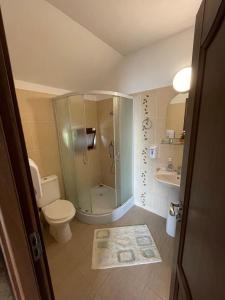 a bathroom with a shower and a toilet and a sink at Pensiunea Nituca in Moisei