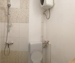 a small bathroom with a toilet and a shower at Matei Petra in Lugoj
