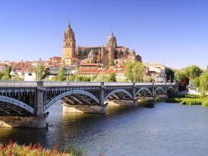 eine Brücke über einen Fluss mit einer Stadt im Hintergrund in der Unterkunft Chalet urbano en Salamanca in Santa Marta de Tormes