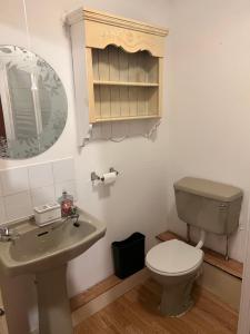 卡萊爾的住宿－Goodwin Apartments，一间带卫生间、水槽和镜子的浴室