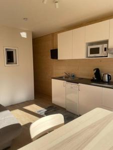 a kitchen with white cabinets and a counter top at Appartement deux alpes pied des pistes in Les Deux Alpes